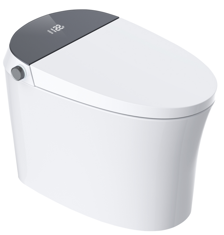 AQUAFLO Smart Toilet