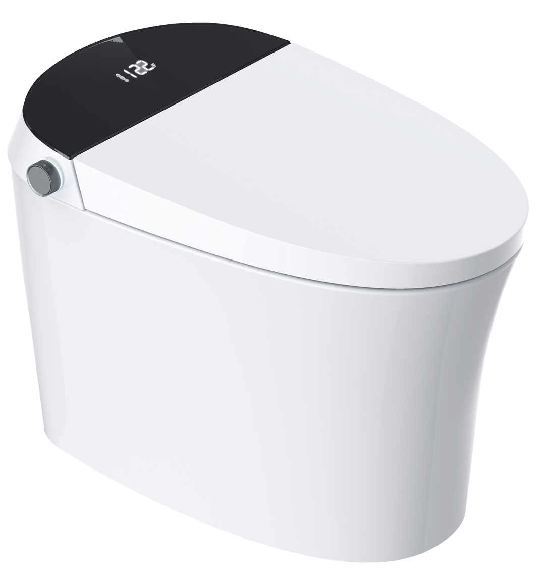 Aquaflo Smart Toilet
