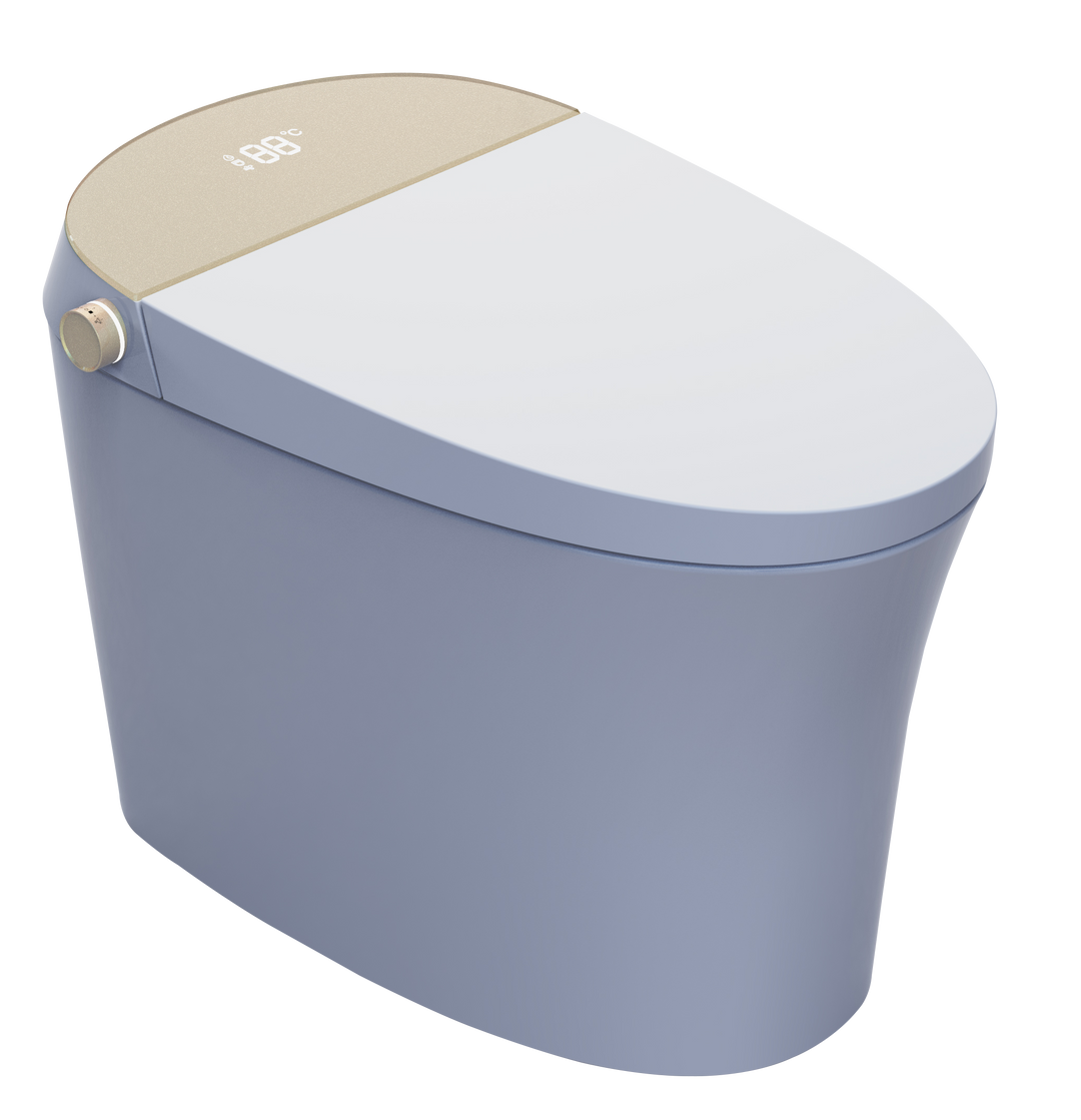 Aquaflo Smart Toilet
