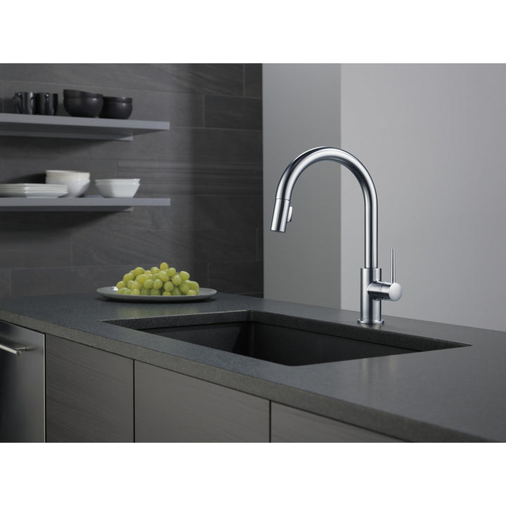 Delta TRINSIC Single Handle Pull-Down Kitchen Faucet 9159-DST