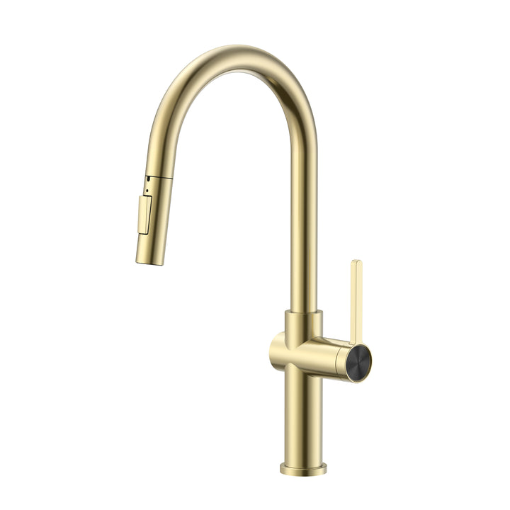 Aquaflo Glanz Pull-Down Kitchen Faucet KFG16