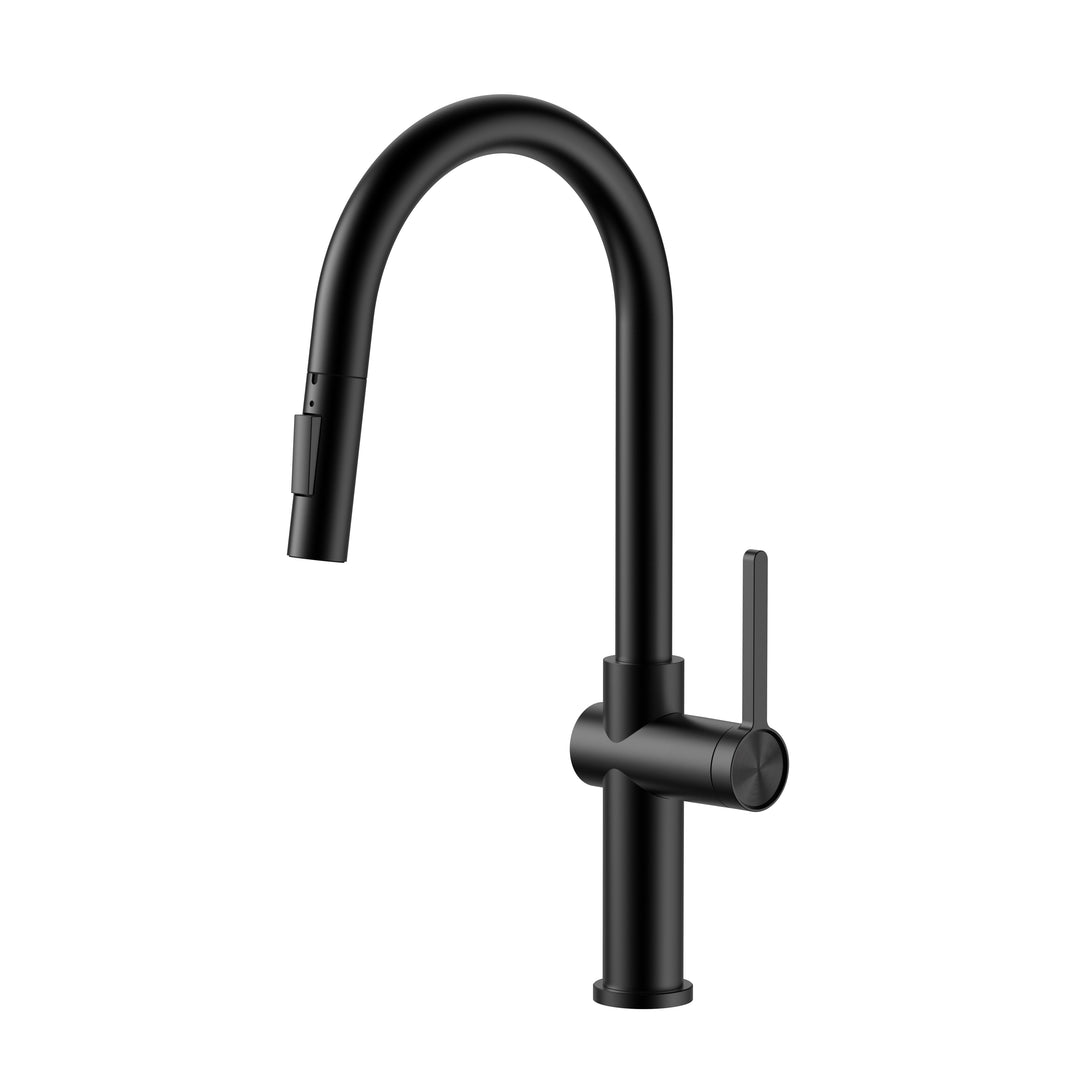 Aquaflo Glanz Pull-Down Kitchen Faucet KFG16