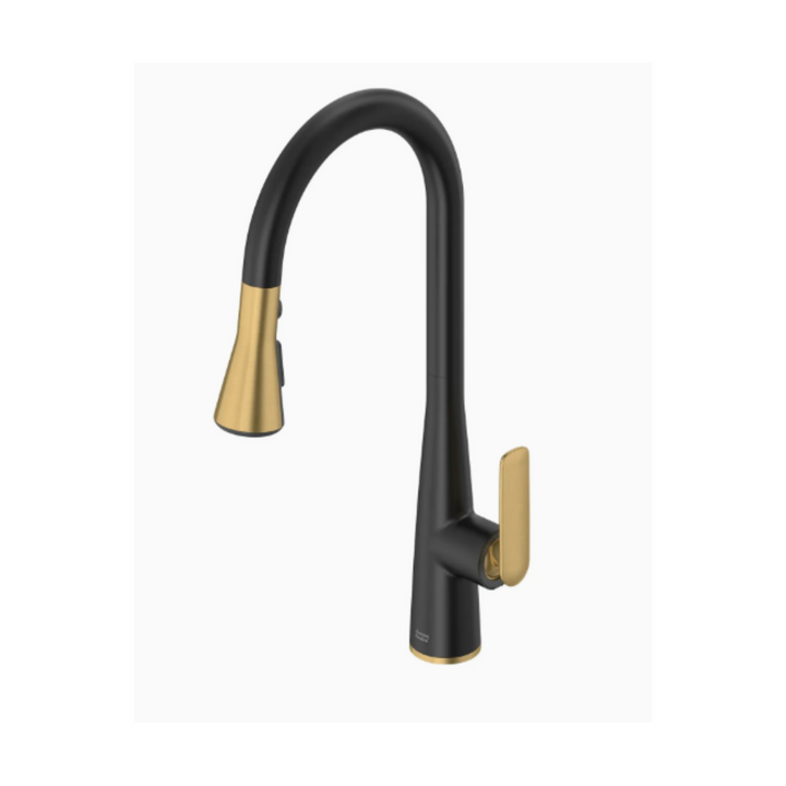 American Standard Aspirations Pull-Down Kitchen Faucet