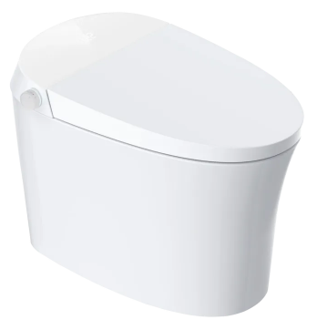 Aquaflo Smart Toilet