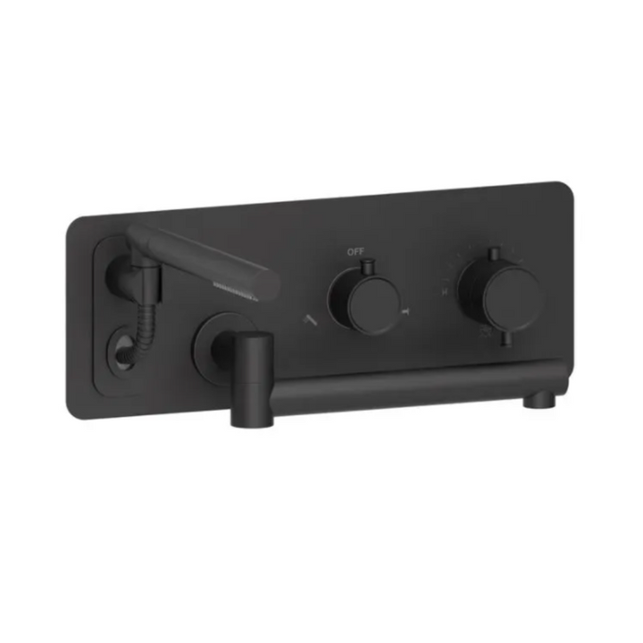 Tenzo Alyss Wall mount tub filler with retractable hose & 12'' swivel spout ALYT74-XX